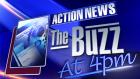 The Buzz The Buzz