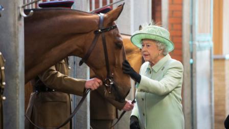 Britains Queen Elizabeth II strokes the nose of Harlequin as she meets members of the Kings Troop Royal Horse Artillery during her visit to Royal Artillery Barracks in London, Friday May 31, 2013. The Kings Troop are a mounted, ceremonial unit that fires gun salutes on royal anniversaries and state occasions. (AP Photo/Paul Grover,Pool)