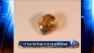 12 year old finds 5.16-carat diamond in park