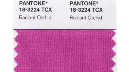 This photo provided by Pantone shows the Radiant Orchid color swatch for Pantone. Pantones Radiant Orchid, selected as color of the year will, in theory, will have a strong presence in fashion, beauty, home design and consumer products. (AP Photo/Pantone)