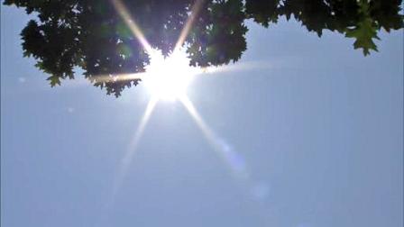 Hot summer sun