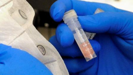 Laboratory technician Ruth Rutledge packages cerebrospinal fluid of the three confirmed meningitis cases in Minn., to send to the Centers for Disease Control and Prevention in Atlanta for further testing, at the Minnesota Department of Health in St. Paul, Minn., on Tuesday, Oct. 9, 2012. (AP Photo/Hannah Foslien)
