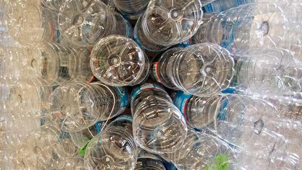 BPA may raise risk of miscarriage