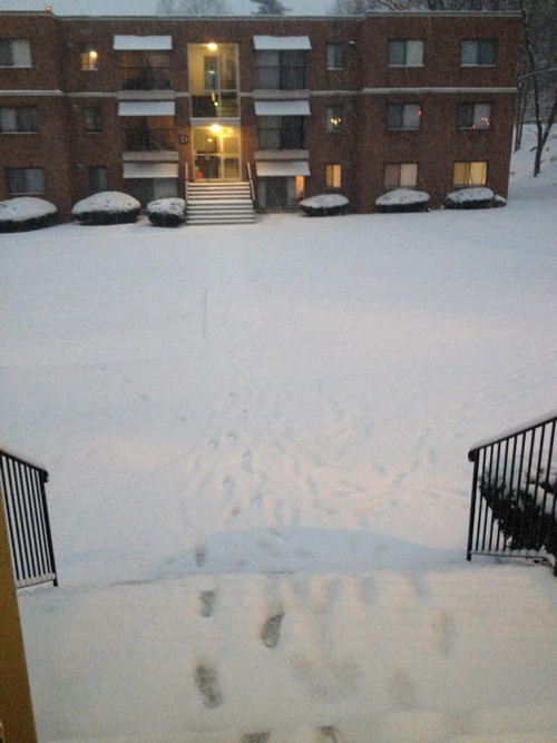 A viewer sent us this photo from Norristown,...