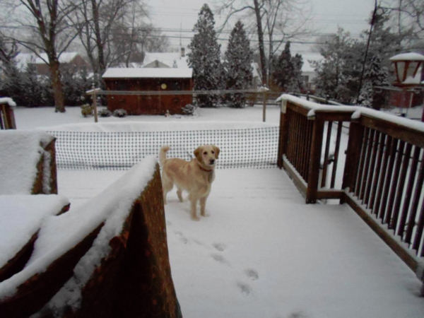 Gabby and Adrianna were out enjoying the snow...