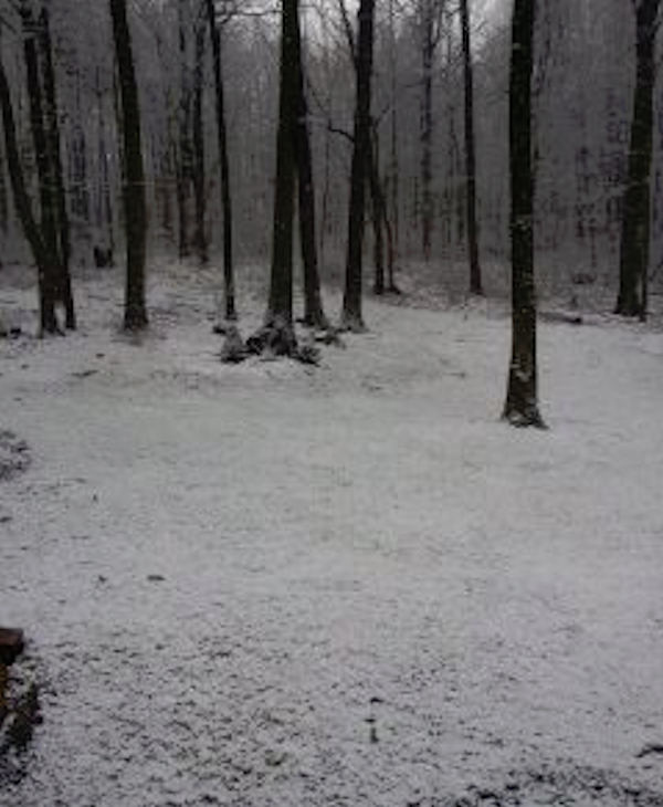 Snow photos submitted to 6abc