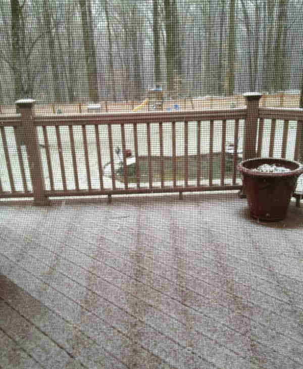 Snow photos submitted to 6abc