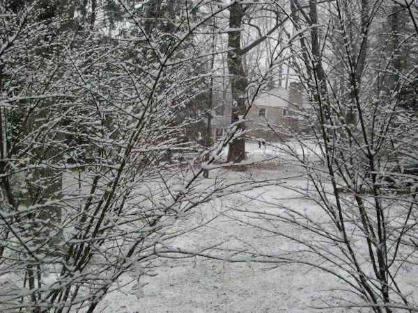 Snow photos submitted to 6abc