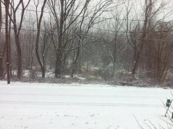 Late winter snowstorm