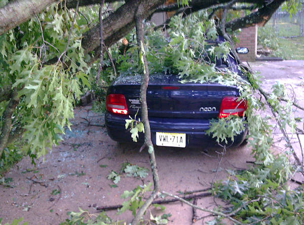 Storm damage pictures submitted to 6abc.com
