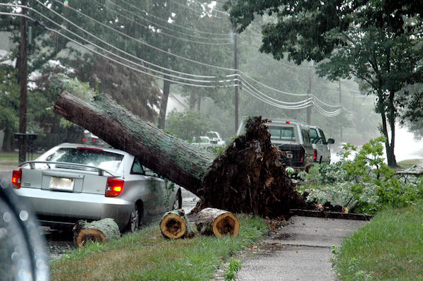 Storm damage pictures submitted to 6abc.com