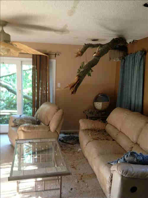 An Action News viewer sent in this photo of...