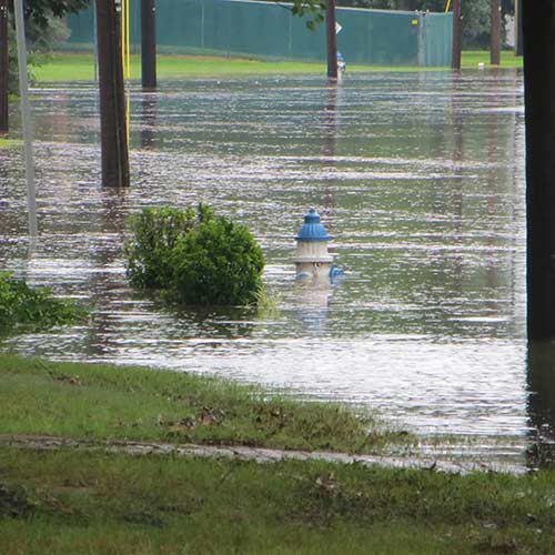 Tiffaney Lord snapped this photo in...