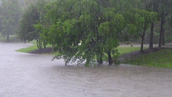 Photos of storm damage