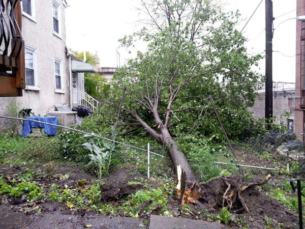 Adam Joseph cleans up after Sandy