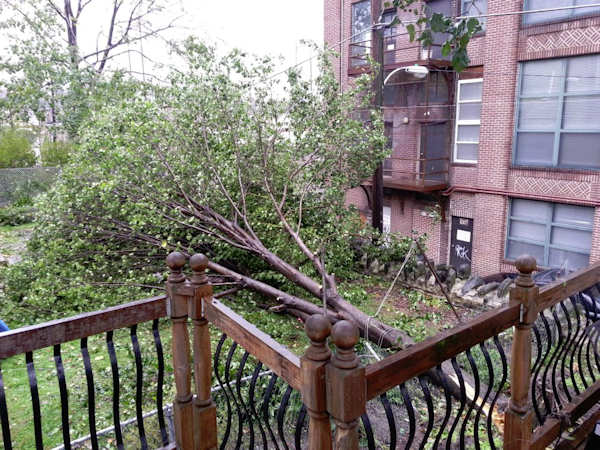 Adam Joseph cleans up after Sandy