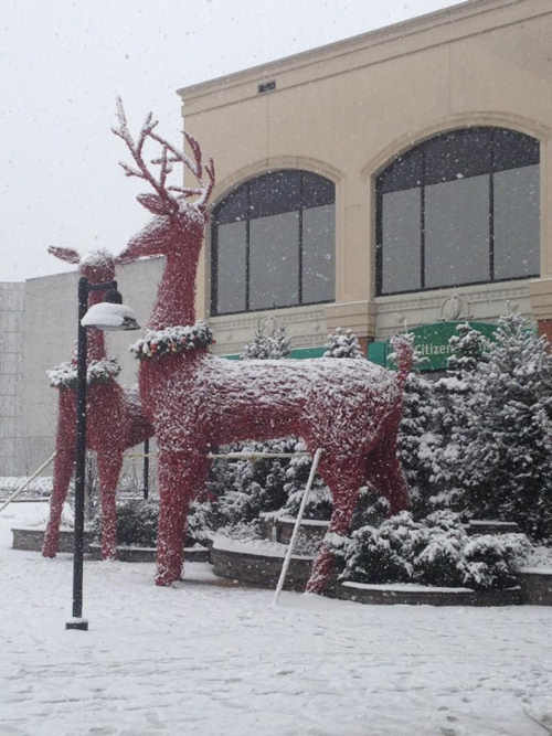 An Action News viewer sent us this photo from...