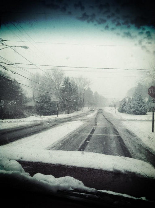 Nicole Lasorda snapped this picture from Blue...