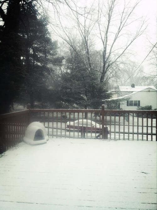 An Action News viewer sent us this photo from...