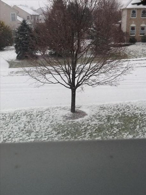John Raskiewicz tweeted us this photo from King...