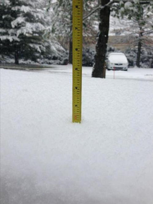 Nicole Lasorda snapped this picture from Blue...
