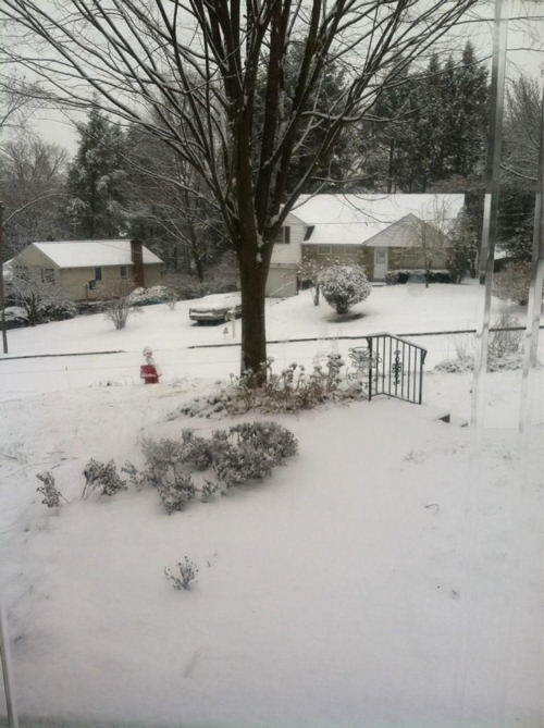 Viewer Jennifer Burns tweeted us this photo...