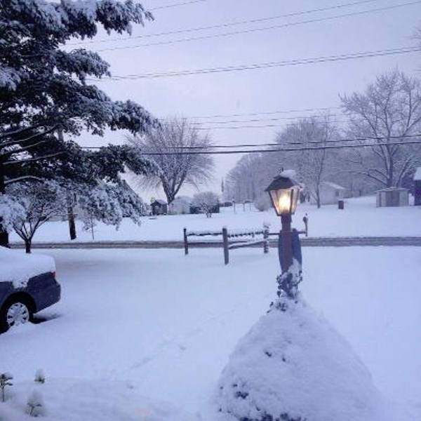 Steve Rogers snapped this photo of the snow...