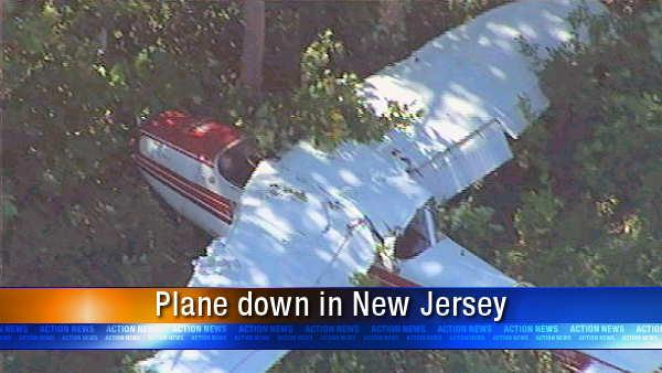 The plane was attempting a landing just after 11 a.m. Wednesday when the pilot was apparently unable to stop and skidded off the runway into some trees.
