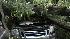 Tree falls on SUV