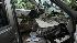 Tree falls on SUV