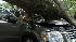 Tree falls on SUV