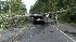 Tree falls on SUV