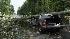 Tree falls on SUV