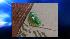 Bottle bomb found at Philadelphia school