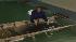 Whale rescue in Brigantine, New Jersey