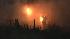 A multi-alarm fire ignited on the Central Pier