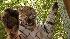 Tiger cubs at the Philadelphia Zoo