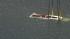 Duck boat recovered from Delaware River after...