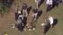 Body found in Burlington Co. soccer field