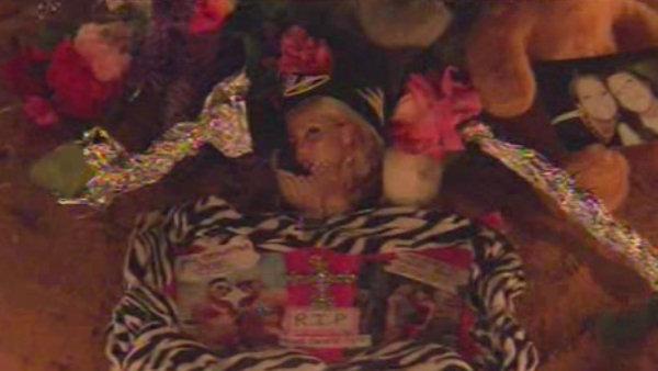 Nicole Ayres