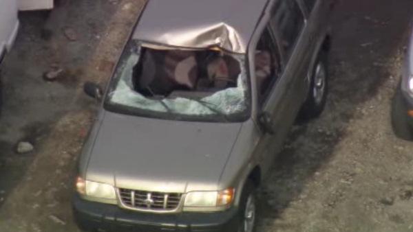 SUV hits deer on Schuylkill Expressway