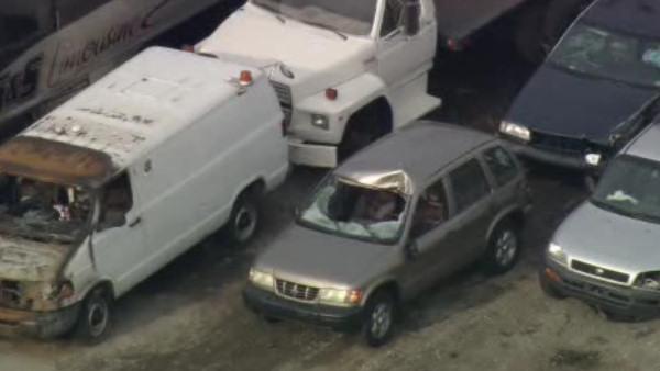 SUV hits deer on Schuylkill Expressway