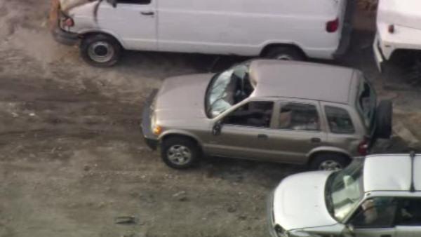 SUV hits deer on Schuylkill Expressway