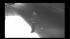 Surveillance released of a Kensington assault suspect from December 6, 2010.