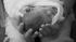 Erin OHearn welcomes second child