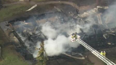 Animal Kingdom fire