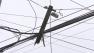 Fallen tree causes trouble in Montco