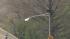 Bear spotted near NJ Turnpike