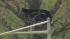 Bear spotted near NJ Turnpike