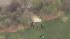 Body found in Fairmount Park